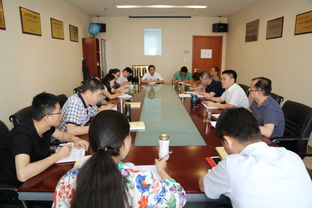 夯實思想根基，筑牢信仰之魂——咨詢公司黨委組織開展“兩學一做”學習教育第二次講黨課活動
